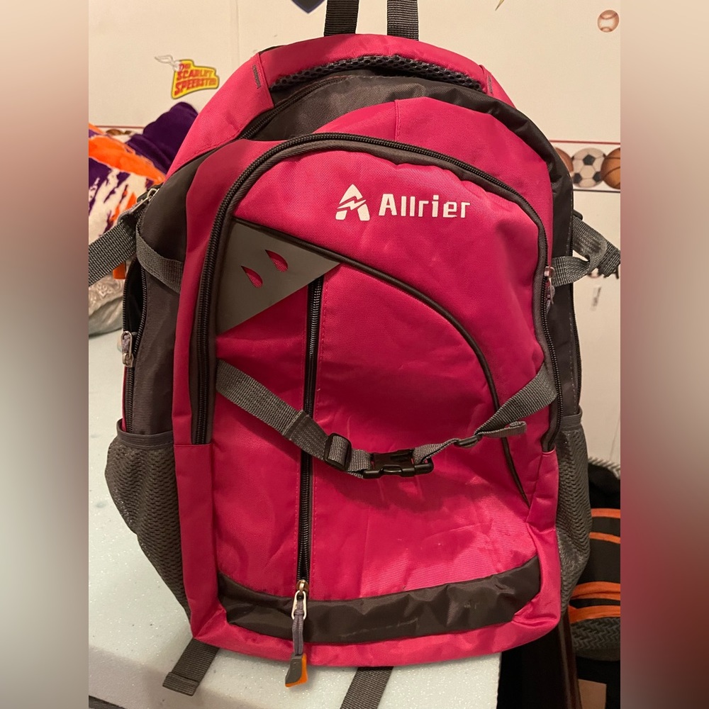Pink & Gray sports bag